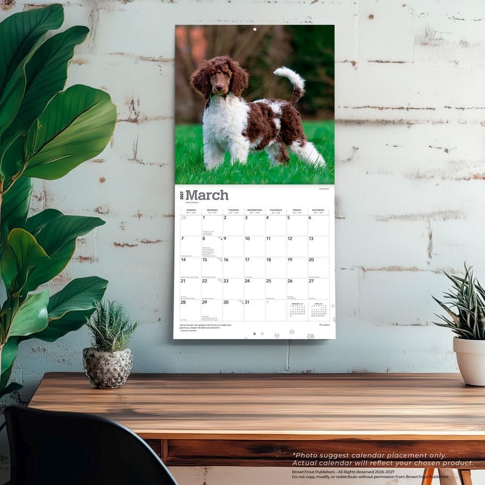 Poodles 2027 Wall Calendar Fourth Alternate Image
