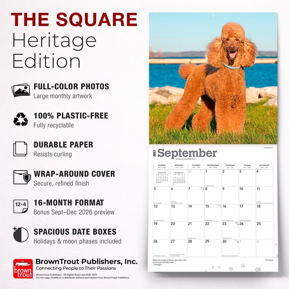 Poodles 2027 Wall Calendar Fifth Alternate Image