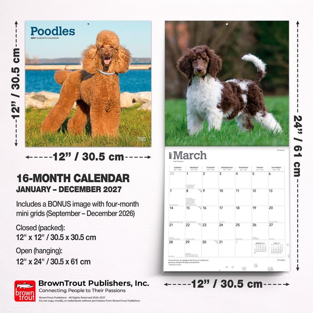 Poodles 2027 Wall Calendar Sixth Alternate Image