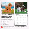 image Poodles 2027 Wall Calendar Sixth Alternate Image