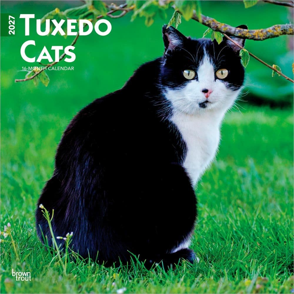 Tuxedo Cats 2027 Wall Calendar Main Product Image