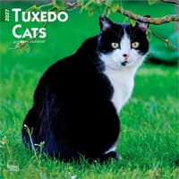 image Tuxedo Cats 2027 Wall Calendar Main Product Image