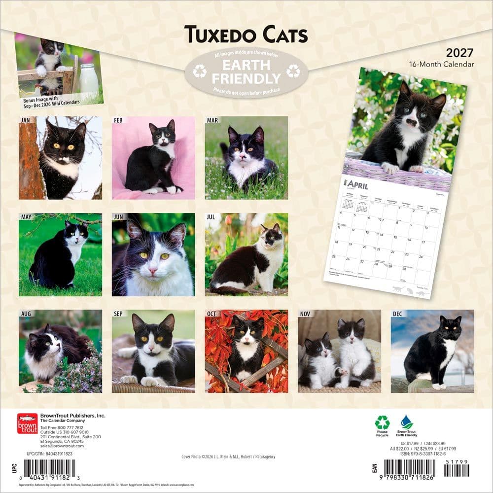 Tuxedo Cats 2027 Wall Calendar First Alternate Image