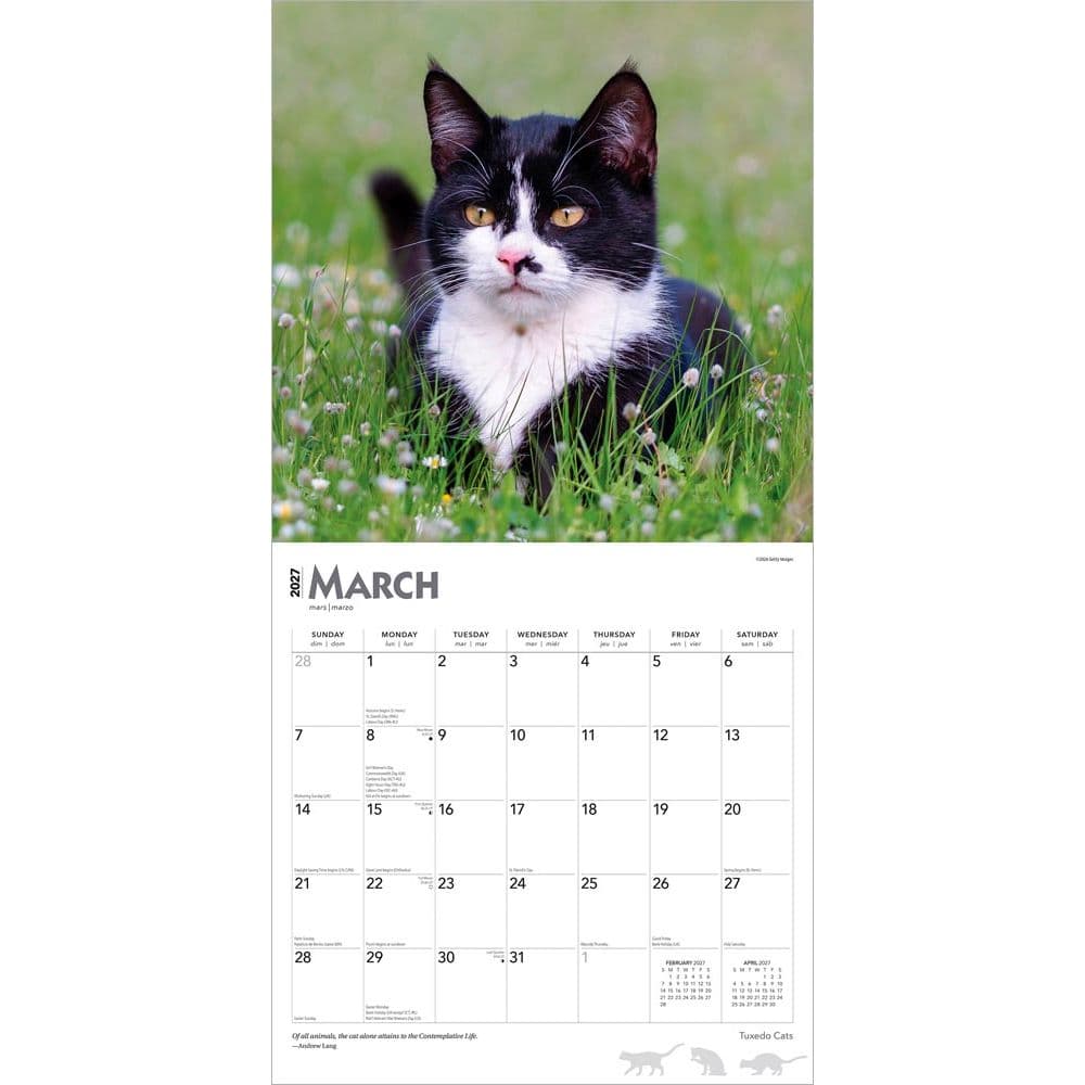 Tuxedo Cats 2027 Wall Calendar Second Alternate Image