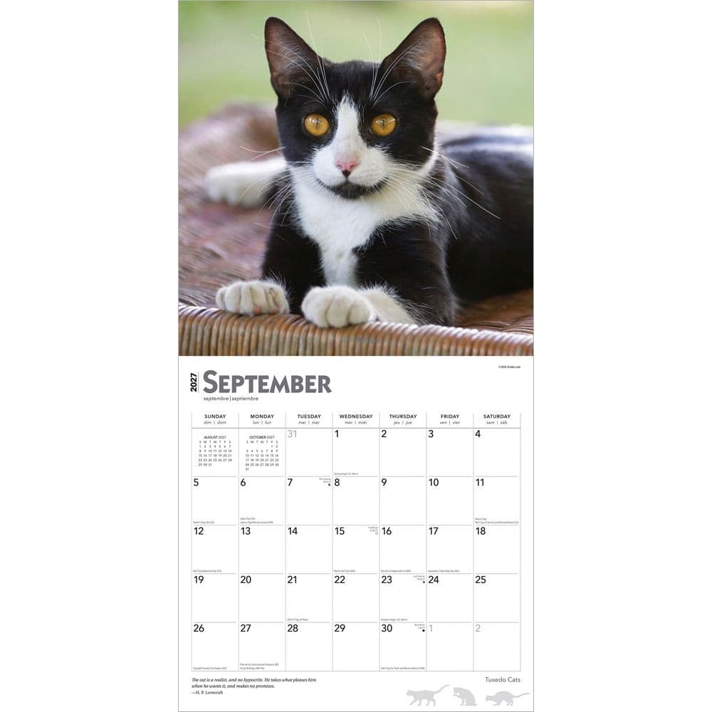 Tuxedo Cats 2027 Wall Calendar Third Alternate Image