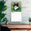 image Tuxedo Cats 2027 Wall Calendar Fourth Alternate Image