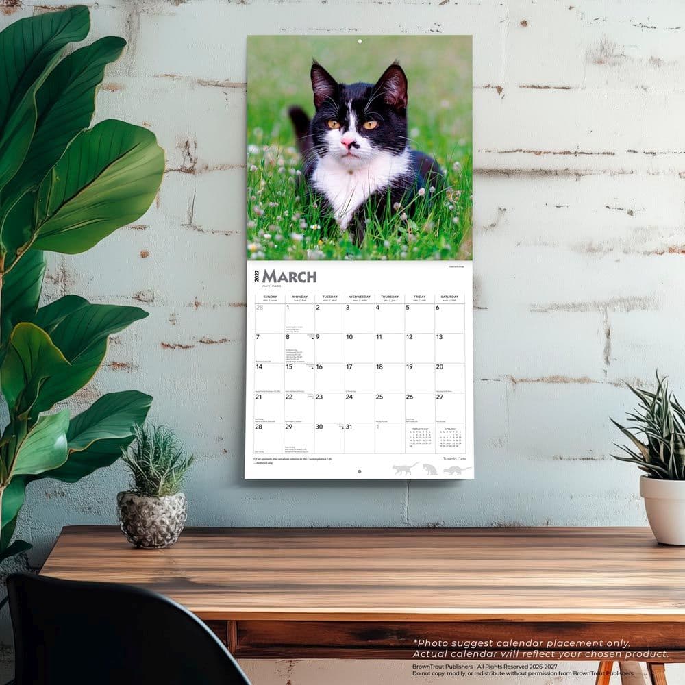 Tuxedo Cats 2027 Wall Calendar Fourth Alternate Image