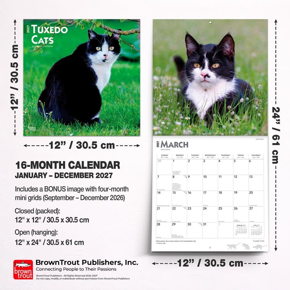 Tuxedo Cats 2027 Wall Calendar Sixth Alternate Image