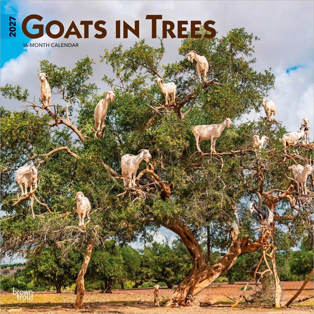 Goats in Trees 2027 Wall Calendar