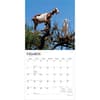 image Goats in Trees 2027 Wall Calendar Second Alternate Image