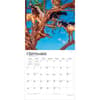 image Goats in Trees 2027 Wall Calendar Third Alternate Image