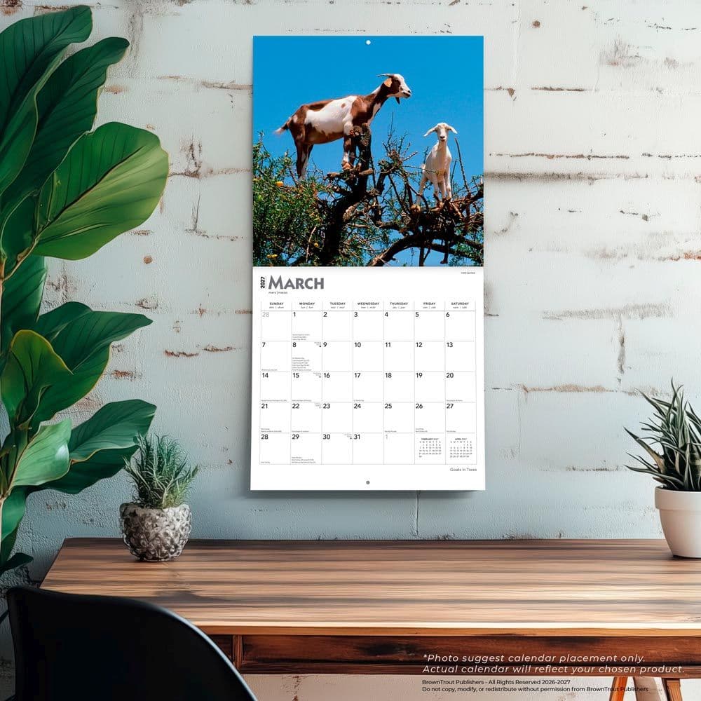 Goats in Trees 2027 Wall Calendar Fourth Alternate Image