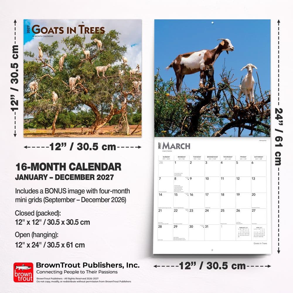 Goats in Trees 2027 Wall Calendar Sixth Alternate Image