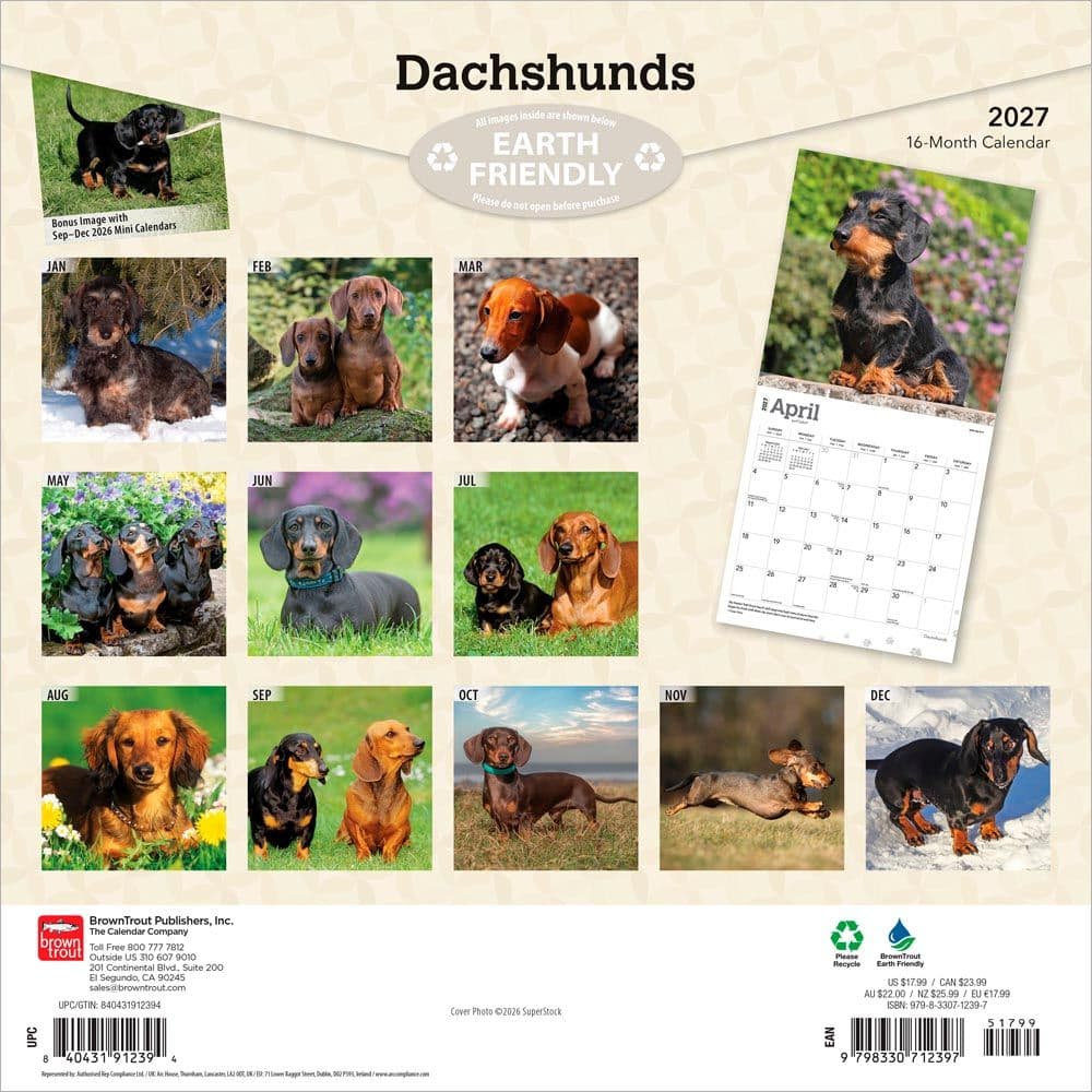 Dachshunds 2027 Wall Calendar First Alternate Image