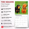 image Dachshunds 2027 Wall Calendar Fifth Alternate Image