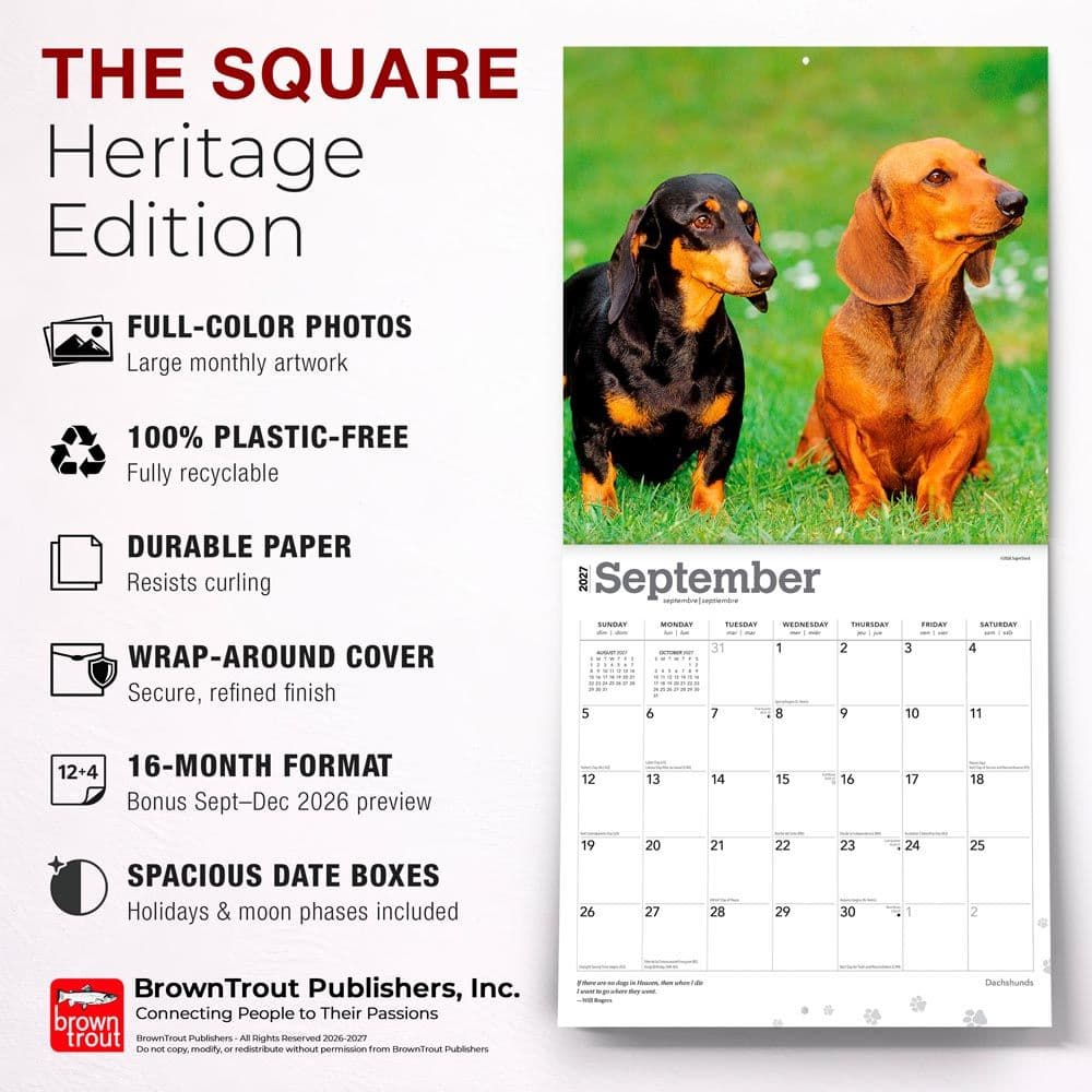 Dachshunds 2027 Wall Calendar Fifth Alternate Image