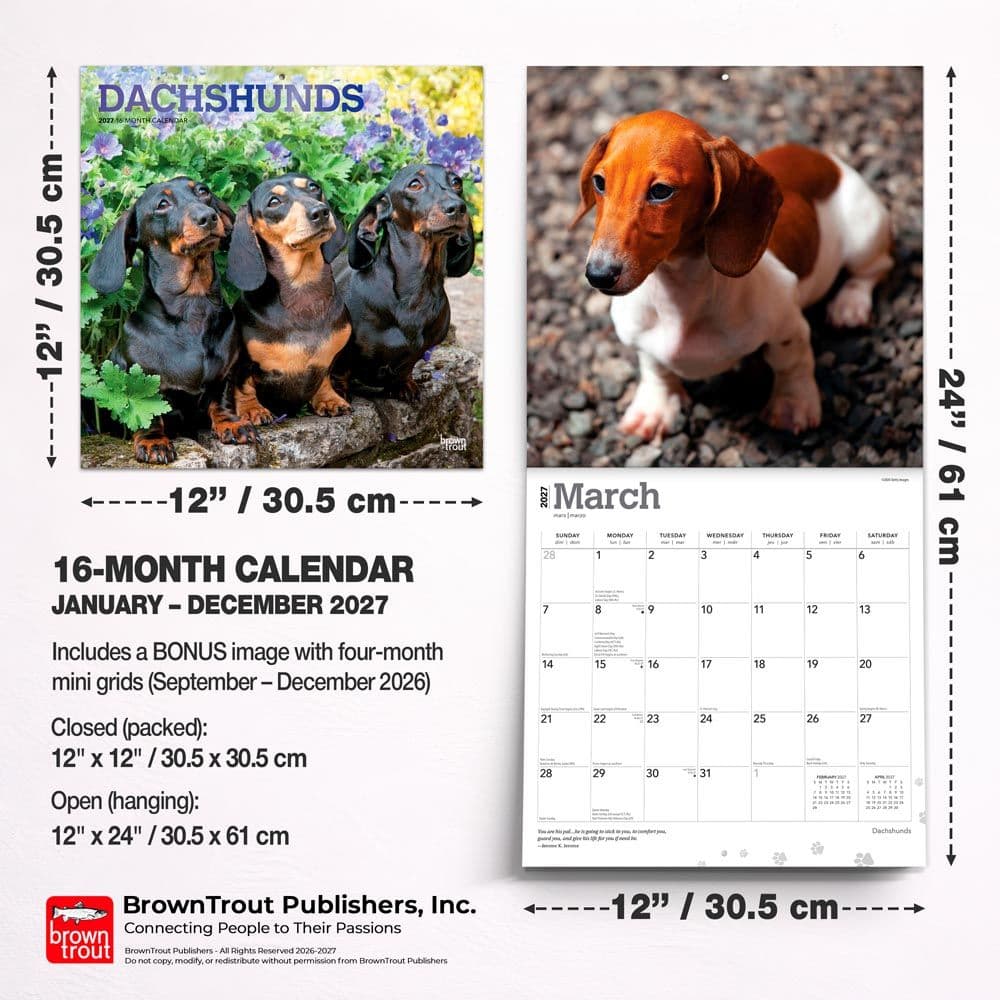 Dachshunds 2027 Wall Calendar Sixth Alternate Image