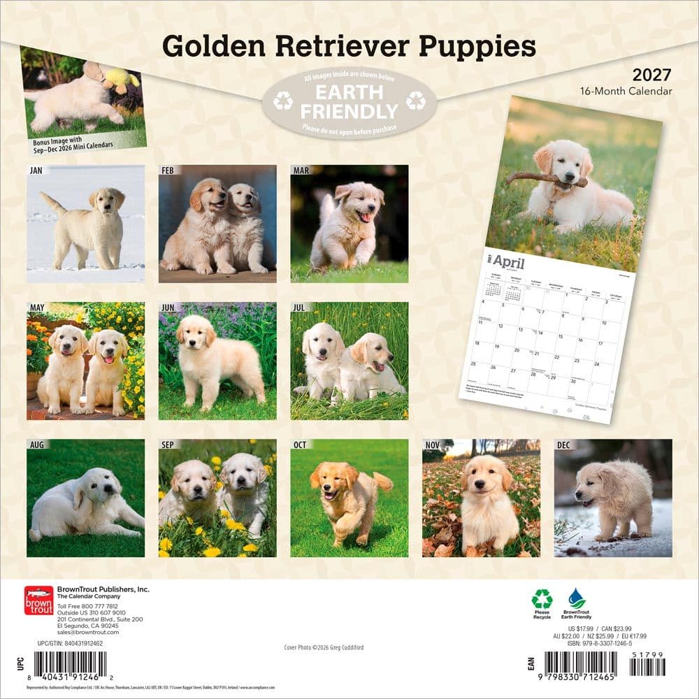 Golden Retriever Puppies 2027 Wall Calendar First Alternate Image