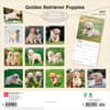 image Golden Retriever Puppies 2027 Wall Calendar First Alternate Image