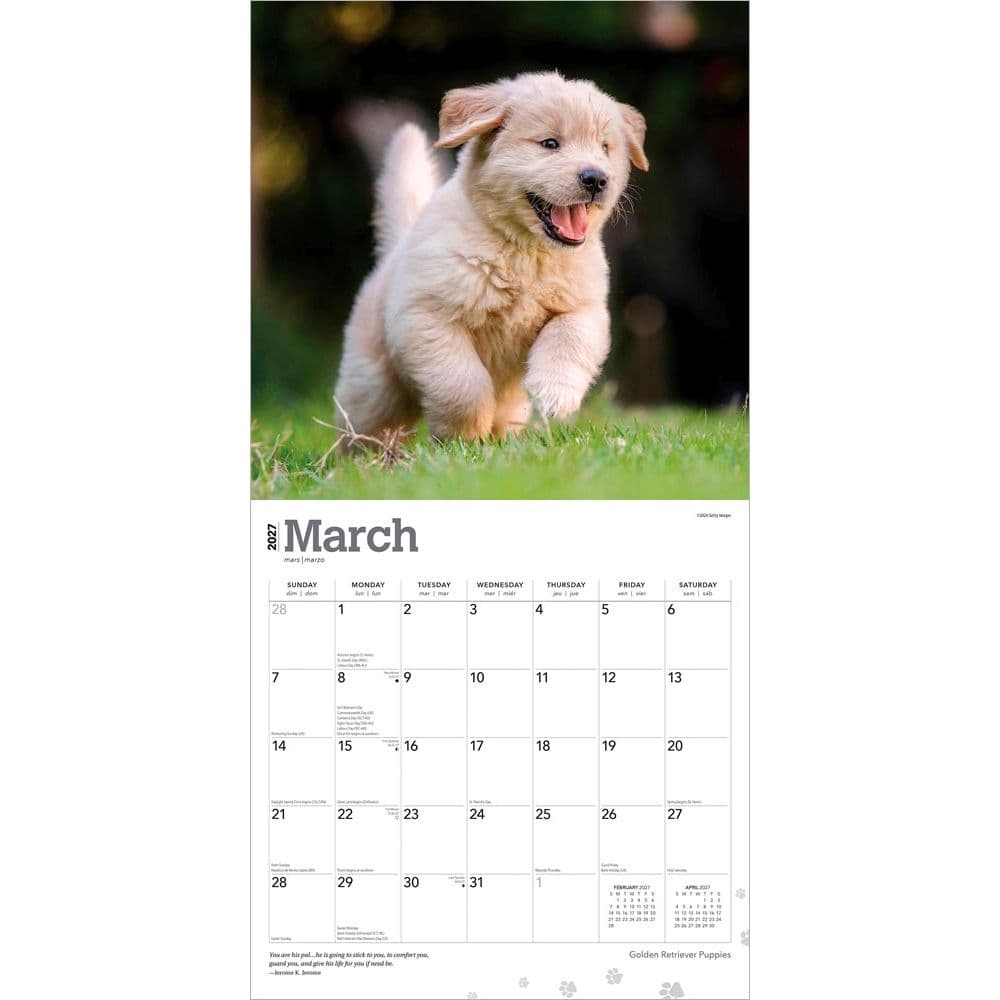 Golden Retriever Puppies 2027 Wall Calendar Second Alternate Image