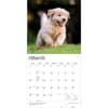 image Golden Retriever Puppies 2027 Wall Calendar Second Alternate Image