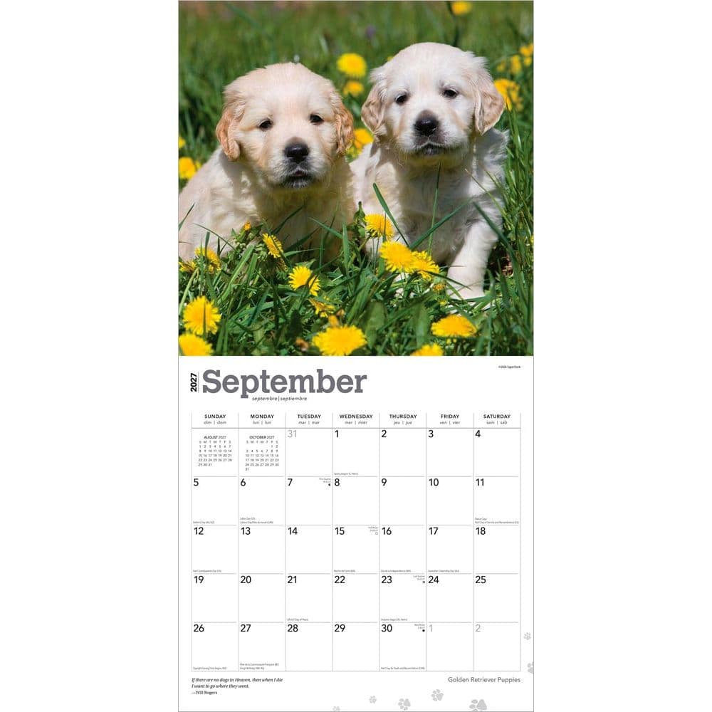 Golden Retriever Puppies 2027 Wall Calendar Third Alternate Image