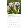 image Golden Retriever Puppies 2027 Wall Calendar Third Alternate Image