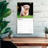 image Golden Retriever Puppies 2027 Wall Calendar Fourth Alternate Image