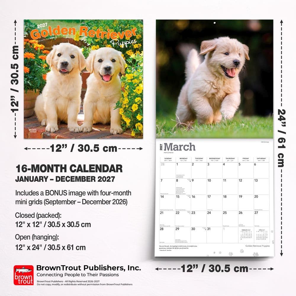 Golden Retriever Puppies 2027 Wall Calendar Sixth Alternate Image