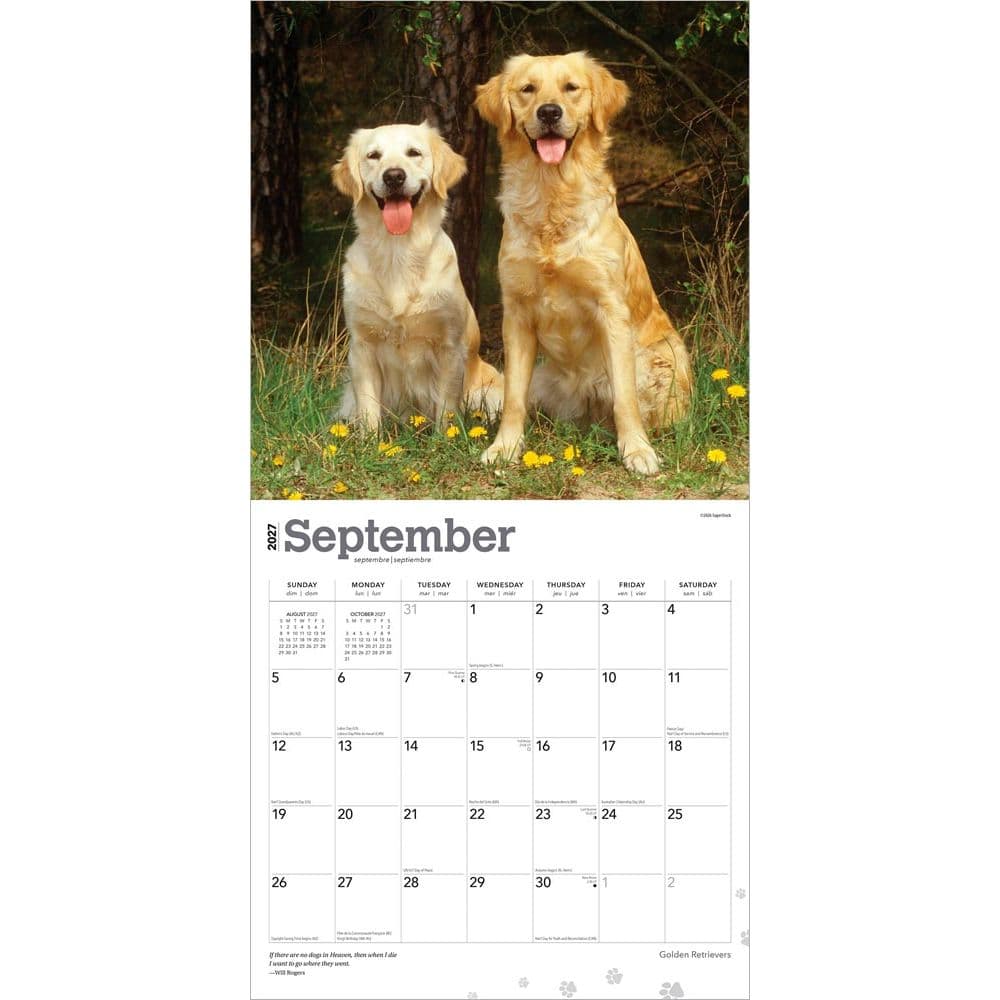 Golden Retrievers 2027 Wall Calendar Third Alternate Image