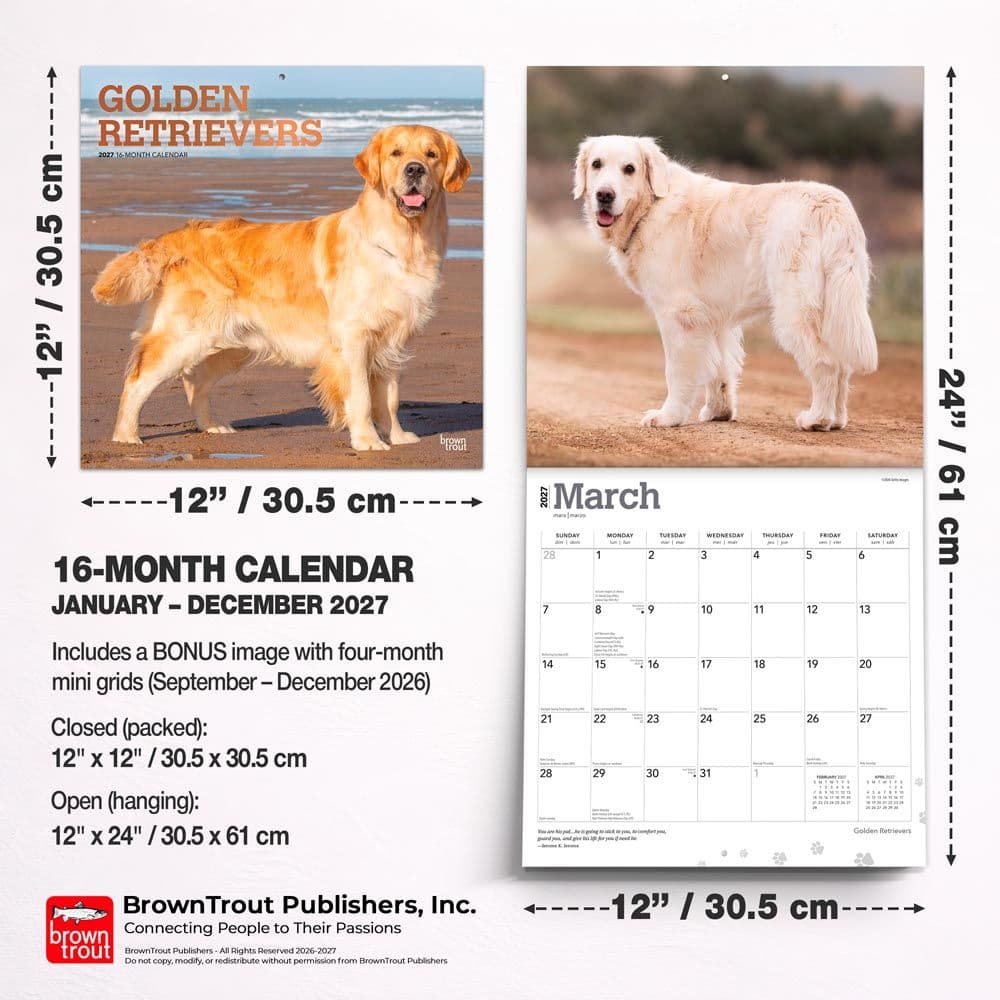 Golden Retrievers 2027 Wall Calendar Sixth Alternate Image