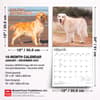 image Golden Retrievers 2027 Wall Calendar Sixth Alternate Image