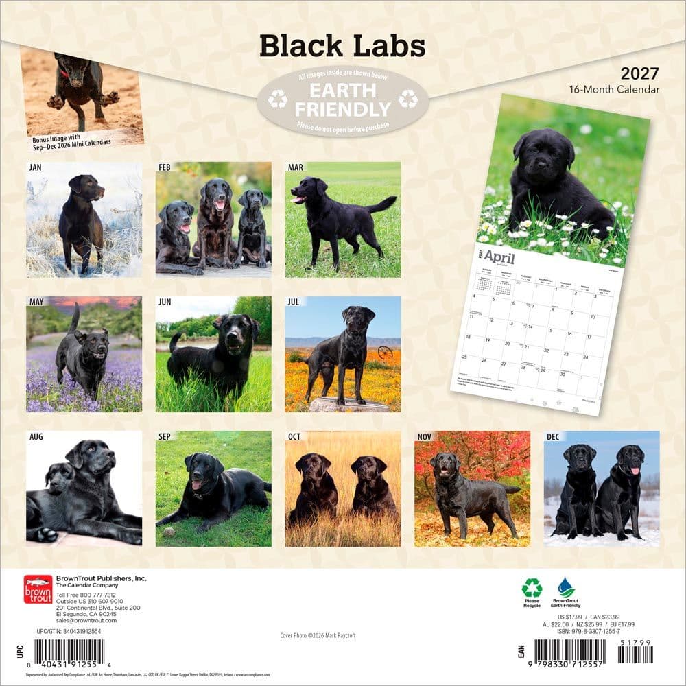 Black Lab Retriever 2027 Wall Calendar First Alternate Image