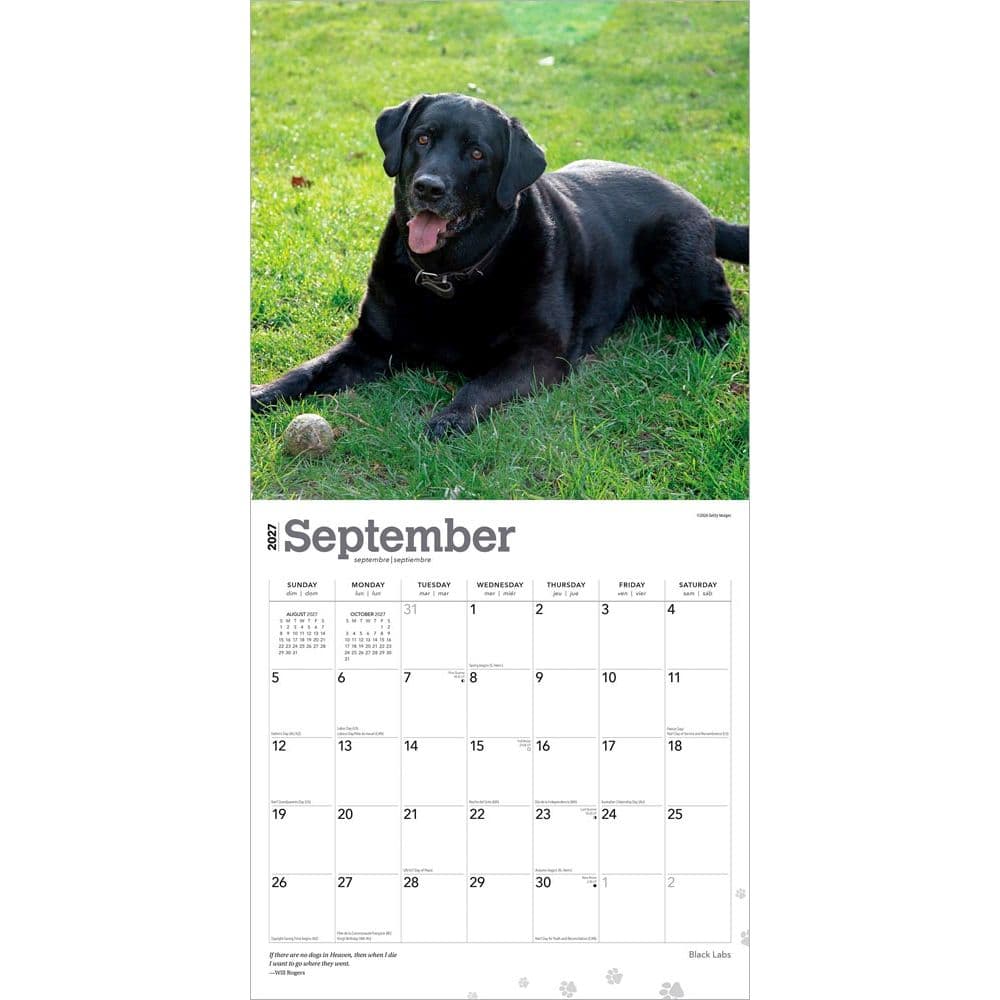 Black Lab Retriever 2027 Wall Calendar Third Alternate Image