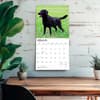 image Black Lab Retriever 2027 Wall Calendar Fourth Alternate Image