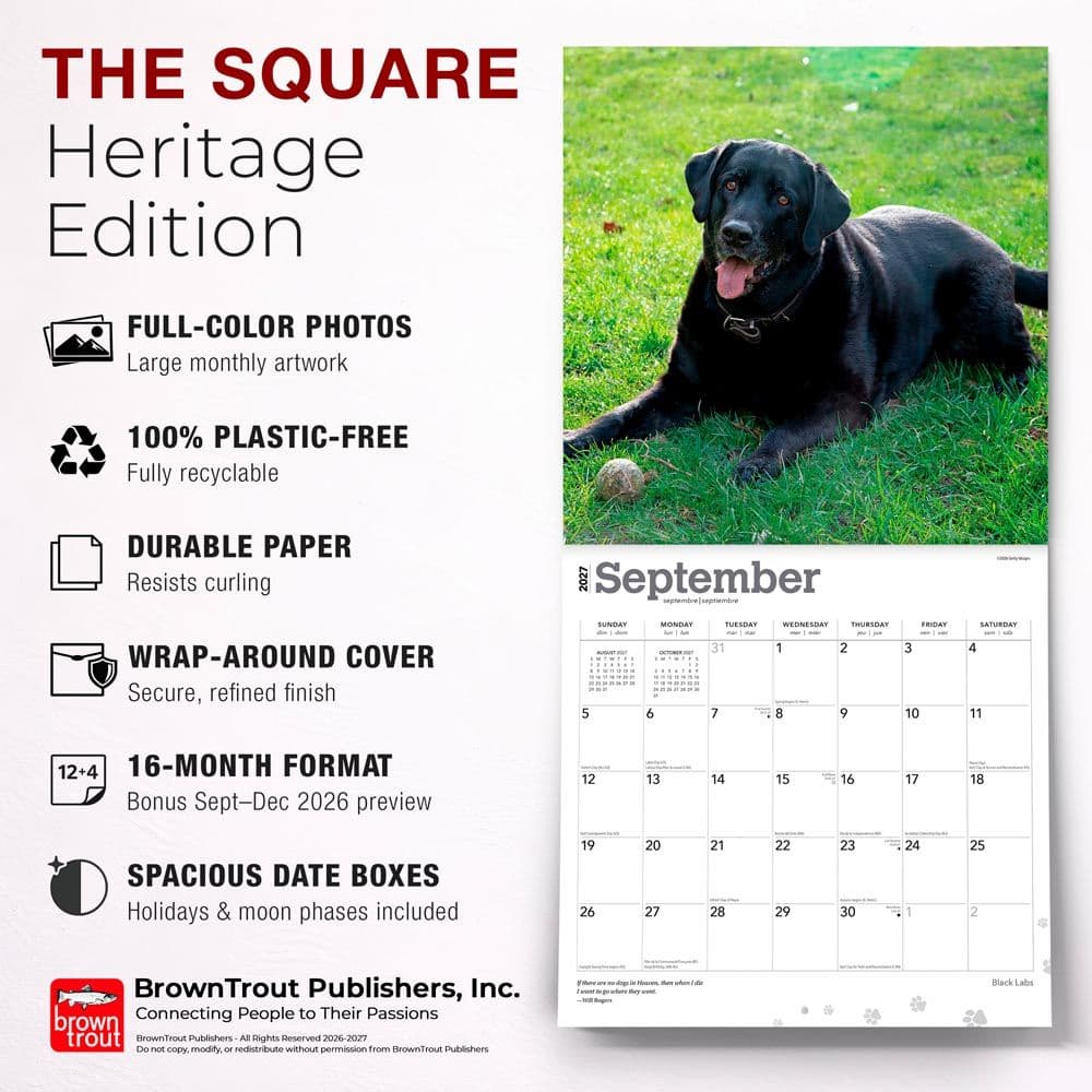 Black Lab Retriever 2027 Wall Calendar Fifth Alternate Image