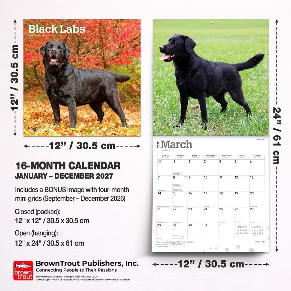 Black Lab Retriever 2027 Wall Calendar Sixth Alternate Image