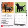 image Black Lab Retriever 2027 Wall Calendar Sixth Alternate Image