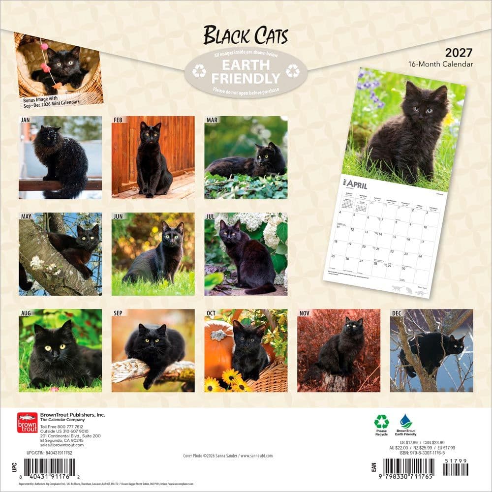 Black Cats 2027 Wall Calendar First Alternate Image