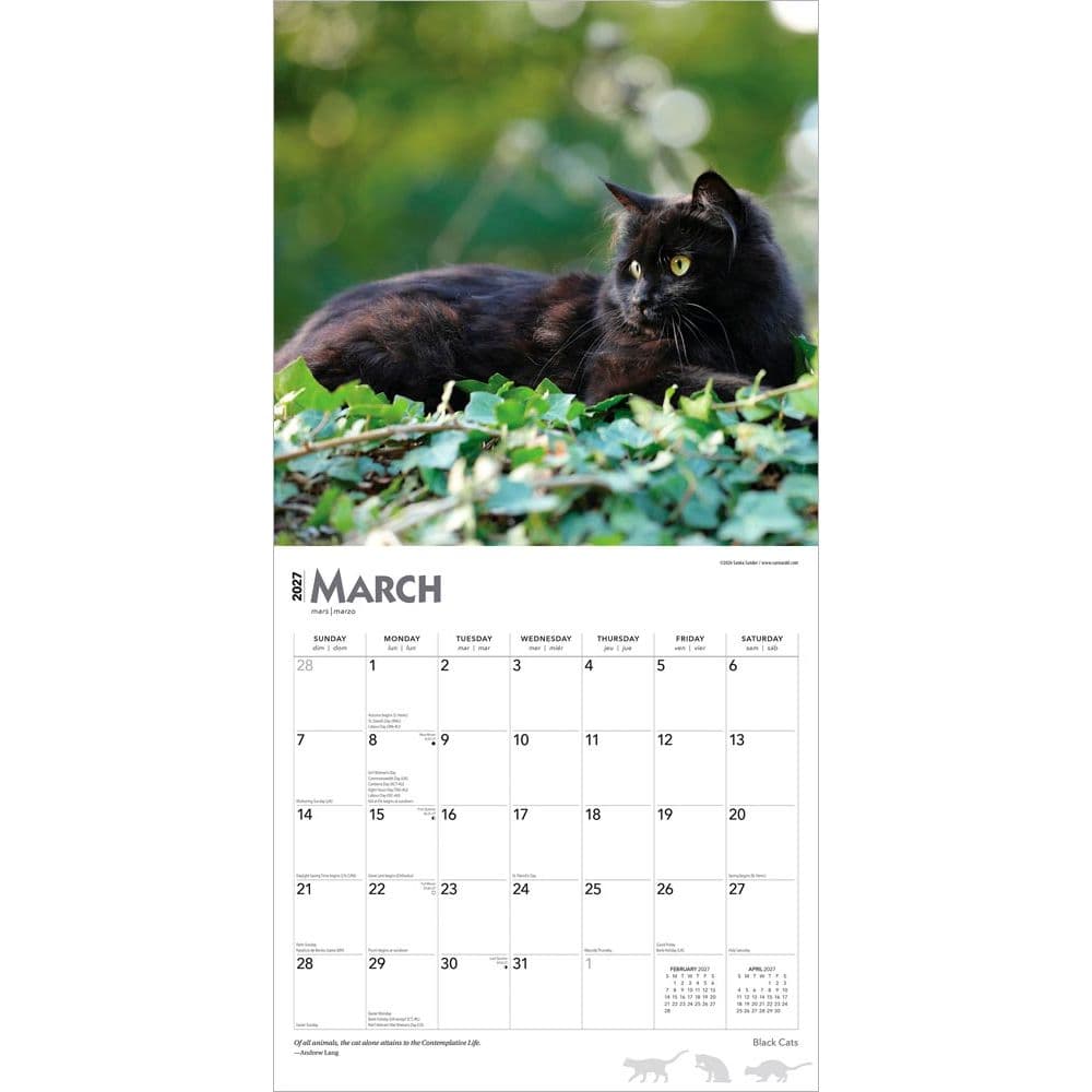 Black Cats 2027 Wall Calendar Second Alternate Image