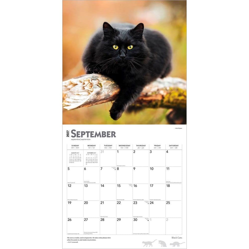 Black Cats 2027 Wall Calendar Third Alternate Image