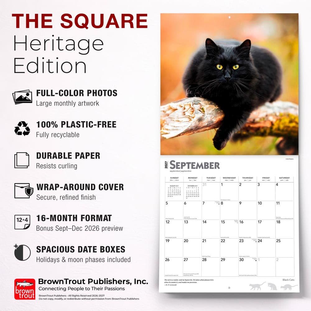 Black Cats 2027 Wall Calendar Fifth Alternate Image