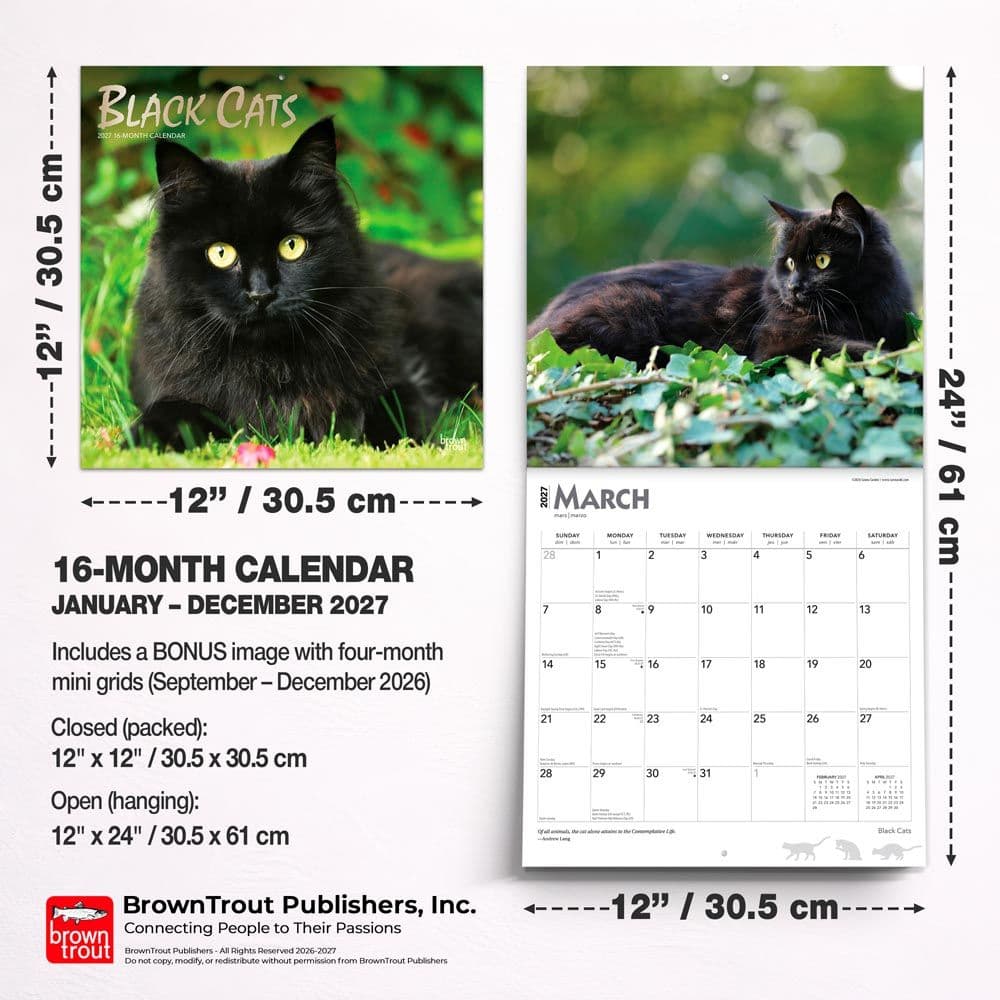 Black Cats 2027 Wall Calendar Sixth Alternate Image