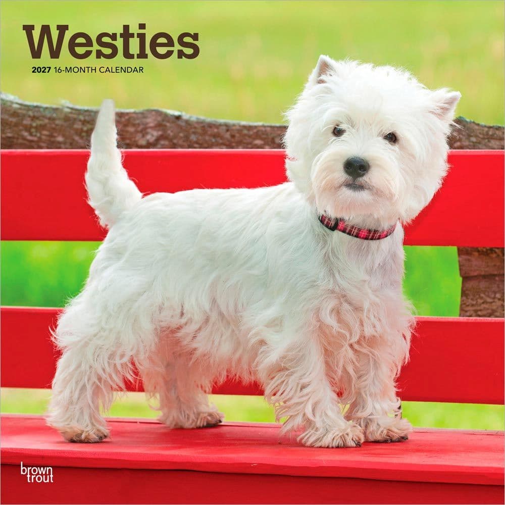 West Highland White Terriers 2027 Wall Calendar Main Product Image