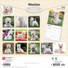 image West Highland White Terriers 2027 Wall Calendar First Alternate Image