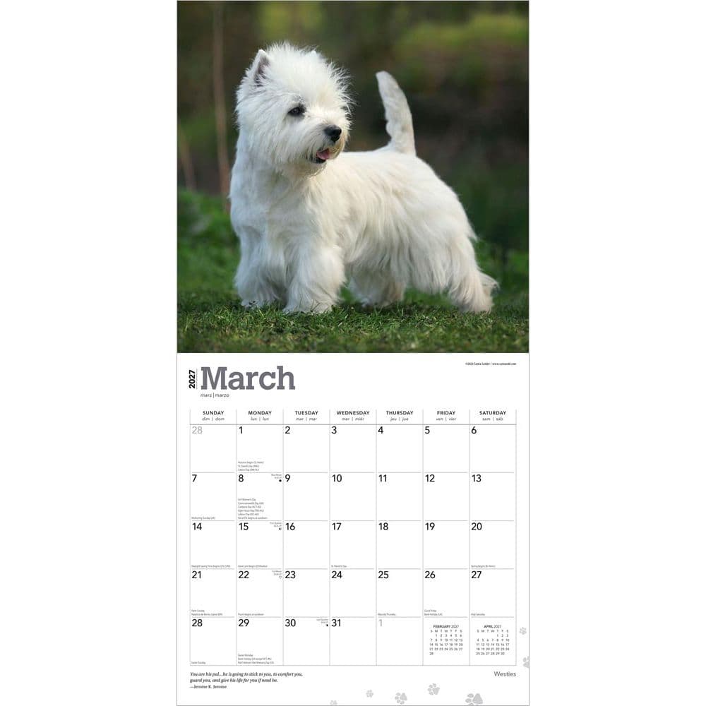 West Highland White Terriers 2027 Wall Calendar Second Alternate Image