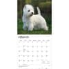 image West Highland White Terriers 2027 Wall Calendar Second Alternate Image