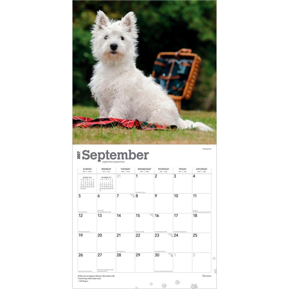 West Highland White Terriers 2027 Wall Calendar Third Alternate Image
