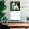 image West Highland White Terriers 2027 Wall Calendar Fourth Alternate Image