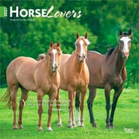 image Horse Lovers 2027 Wall Calendar Main Product Image
